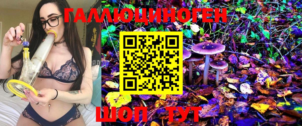 Марихуана  MDMA  Меф МЯУ МЯУ   Кодеин  ГАШ  Артёмовский  Вход с VPN  Cocaine  ЭКСТАЗИ 